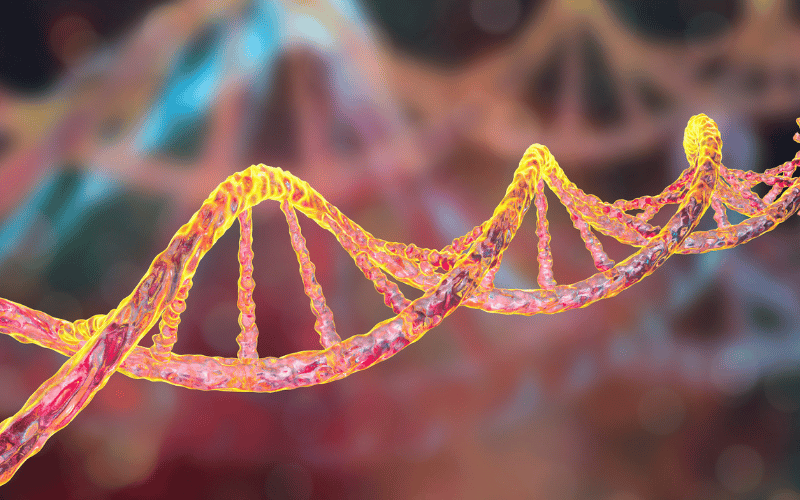 The Role of Genetics Unraveling the Hereditary Threads