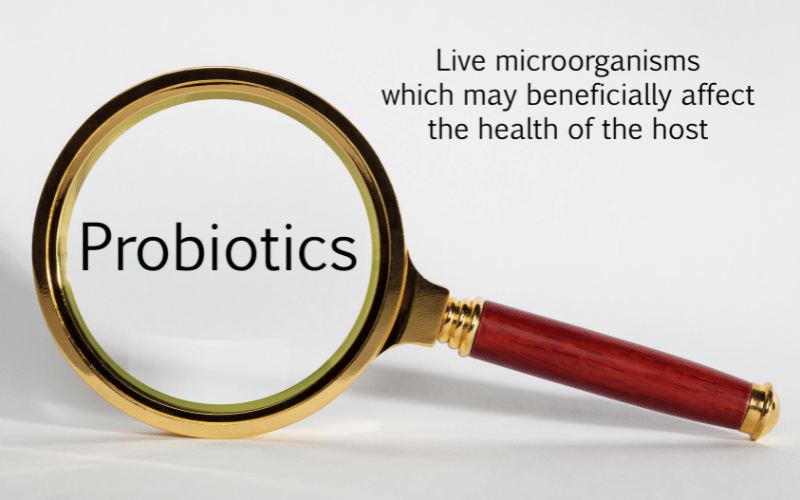 Probiotics Strengthening the Sinus Microbiome