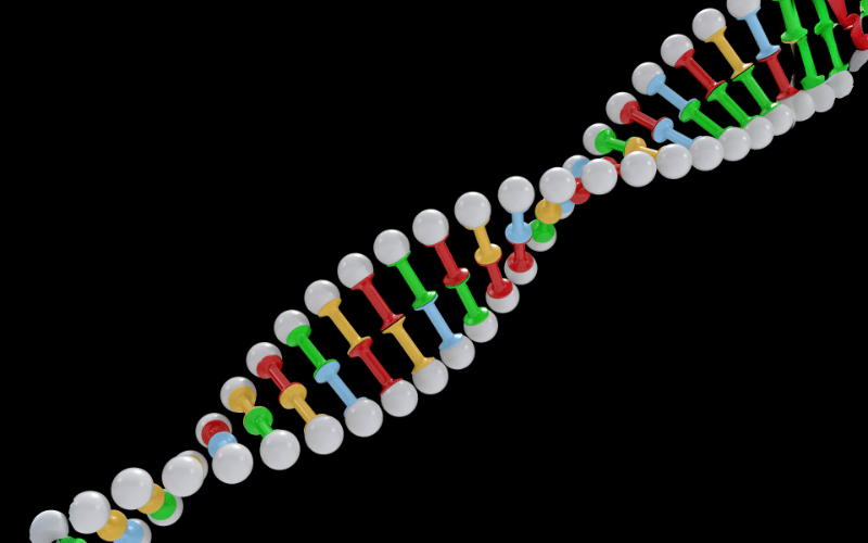 The Role of Genetics Are Hemorrhoids Hereditary