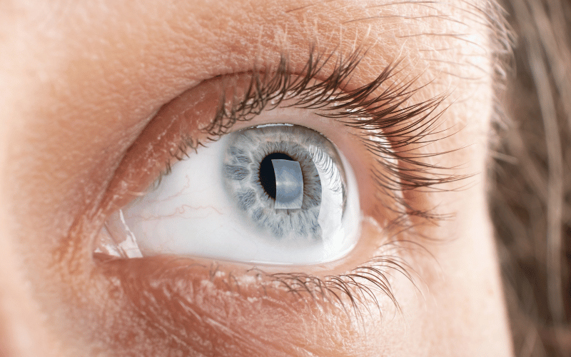 Corneal Opacity - The Threat to Vision