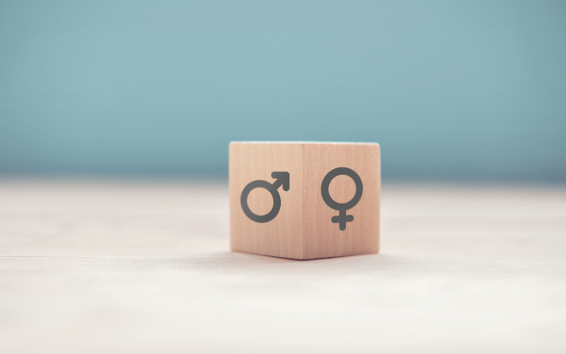 Gender Disparities – Navigating the Gender Gap