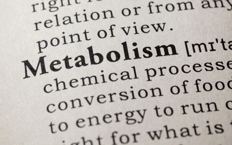 Impact on Metabolism