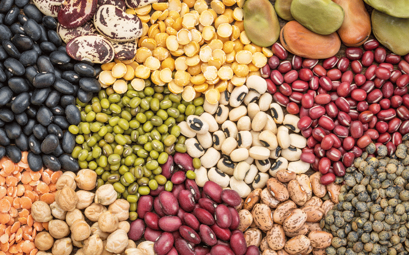 Legumes