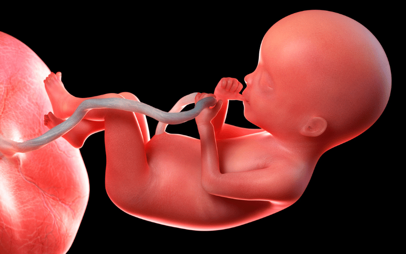 Possibility of Fetal Growth Restriction