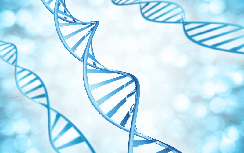 The Role of Genetics - Inheritance Patterns and Risks