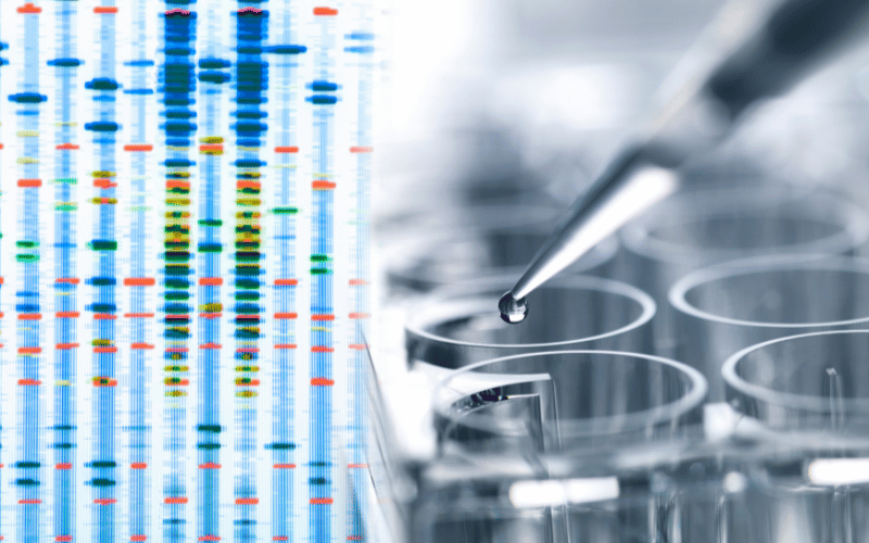 The Role of Genetics in Congenital Neutropenia