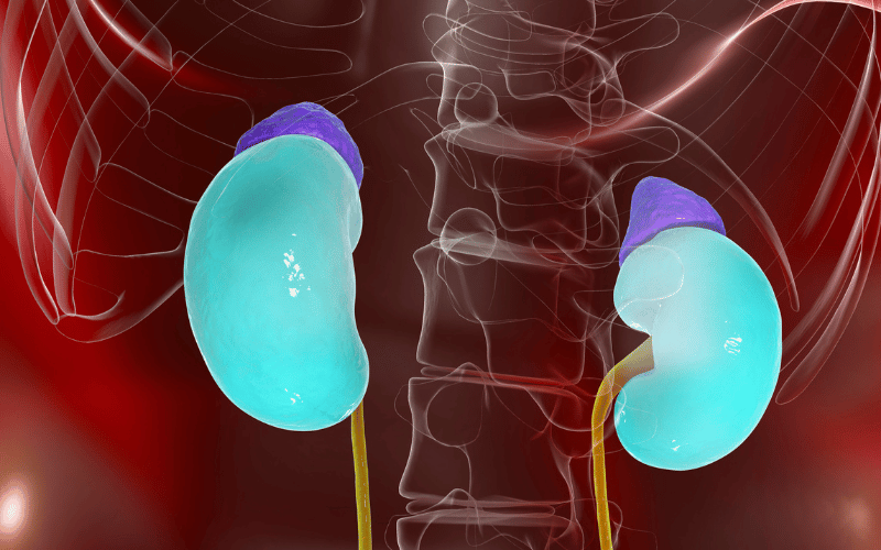 Unraveling the Mystery of Adrenal Insufficiency