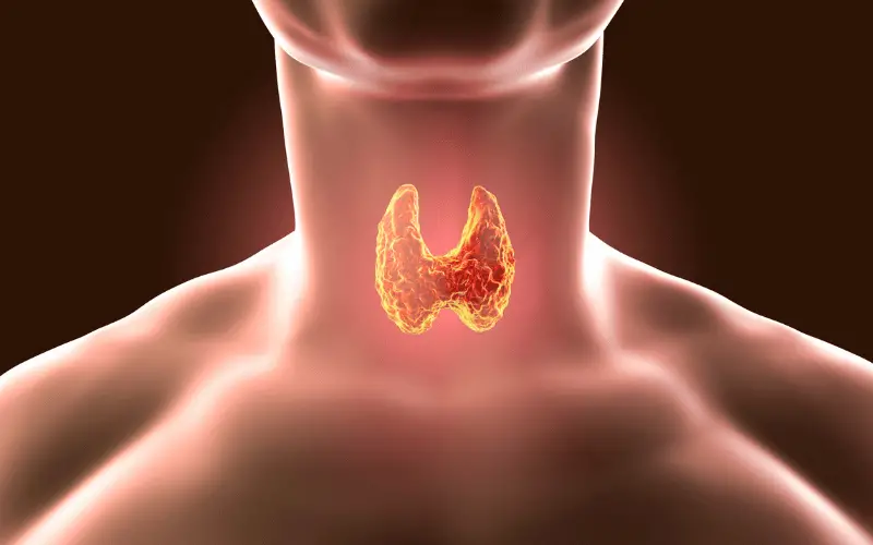 Unveiling the Spectrum of Thyroid Storm Symptoms